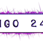 BINGO247